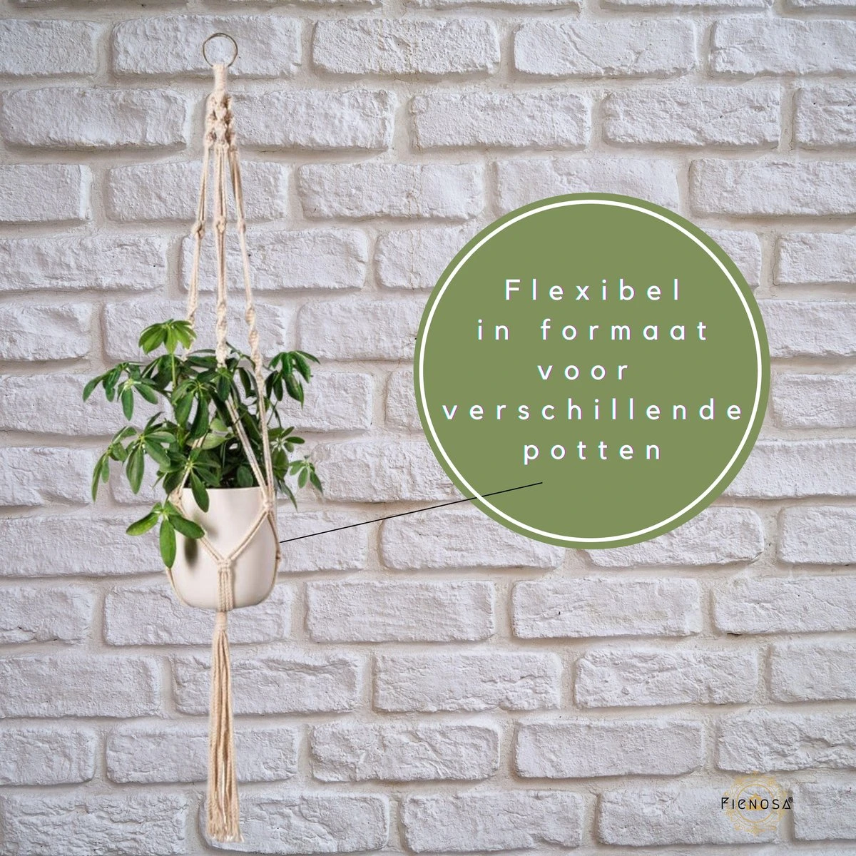 Plantenhanger - Plantenhanger Macrame - Set Van 2 - Wit - Knopen - Luxe Gevlochten Touw - Met Ophang Haken - Fienosa 6 Plantenhanger - Plantenhanger Macrame - Set Van 2 - Wit - Knopen - Luxe Gevlochten Touw - Met Ophang Haken - Fienosa - Afbeelding 4