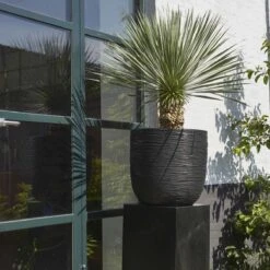 Capi Europe - Bloempot Bol Rib NL - 35x34 - Zwart - Voor Binnen En Buiten - KBLR932 -Tuinen Speciaal Winkel 1200x1200 670