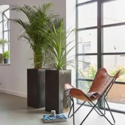 Capi Europe - Bloempot Rechthoek Smooth NL - 36x36x79 - Zwart - Voor Binnen En Buiten - KBL952 -Tuinen Speciaal Winkel 1200x1200 684