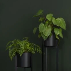 QUVIO Plantenstandaard Binnen - Inclusief Pot - Staande Plantenbak - Metaal - Bloempot - 22 X 22 X 60 Cm - Zwart 15 QUVIO Plantenstandaard Binnen - Inclusief Pot - Staande Plantenbak - Metaal - Bloempot - 22 X 22 X 60 Cm - Zwart -Tuinen Speciaal Winkel 1200x1200 697