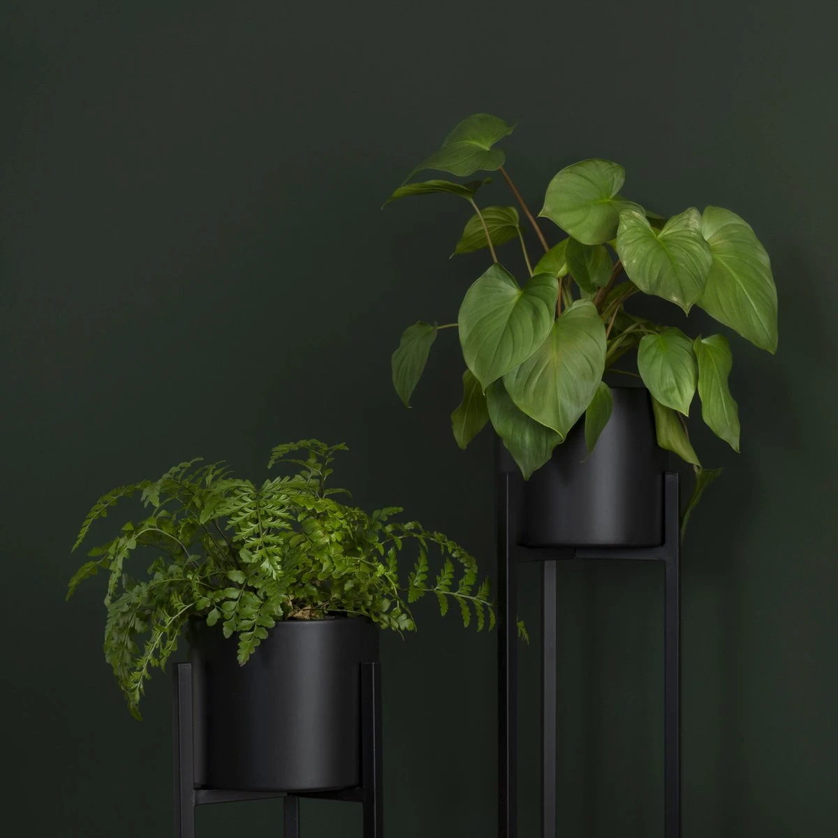 QUVIO Plantenstandaard Binnen - Inclusief Pot - Staande Plantenbak - Metaal - Bloempot - 22 X 22 X 60 Cm - Zwart 7 QUVIO Plantenstandaard Binnen - Inclusief Pot - Staande Plantenbak - Metaal - Bloempot - 22 X 22 X 60 Cm - Zwart - Afbeelding 5