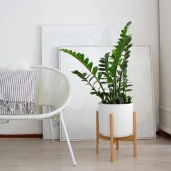 LifeGoods Planten Standaard - Uitschuifbare Bloempothouder - 20 Tot 30 Cm - Licht Bamboe 16 LifeGoods Planten Standaard - Uitschuifbare Bloempothouder - 20 Tot 30 Cm - Licht Bamboe -Tuinen Speciaal Winkel 1200x1200 703