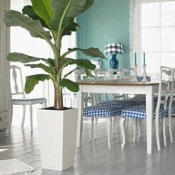 Prosperplast Kunststof Urbi Bloempot/plantenpot Met Binnenpot Wit 32 X 32 X 61 Cm - 21/49 Liter - Hoge Vierkante Bloempotten 26 Prosperplast Kunststof Urbi Bloempot/plantenpot Met Binnenpot Wit 32 X 32 X 61 Cm - 21/49 Liter - Hoge Vierkante Bloempotten -Tuinen Speciaal Winkel 1200x1200 741