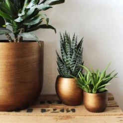 Capi Europe - Bloempot Bol Retro - 23x21 - Goud - Bloempot Voor Binnen - BRTG134 -Tuinen Speciaal Winkel 1200x1200 762