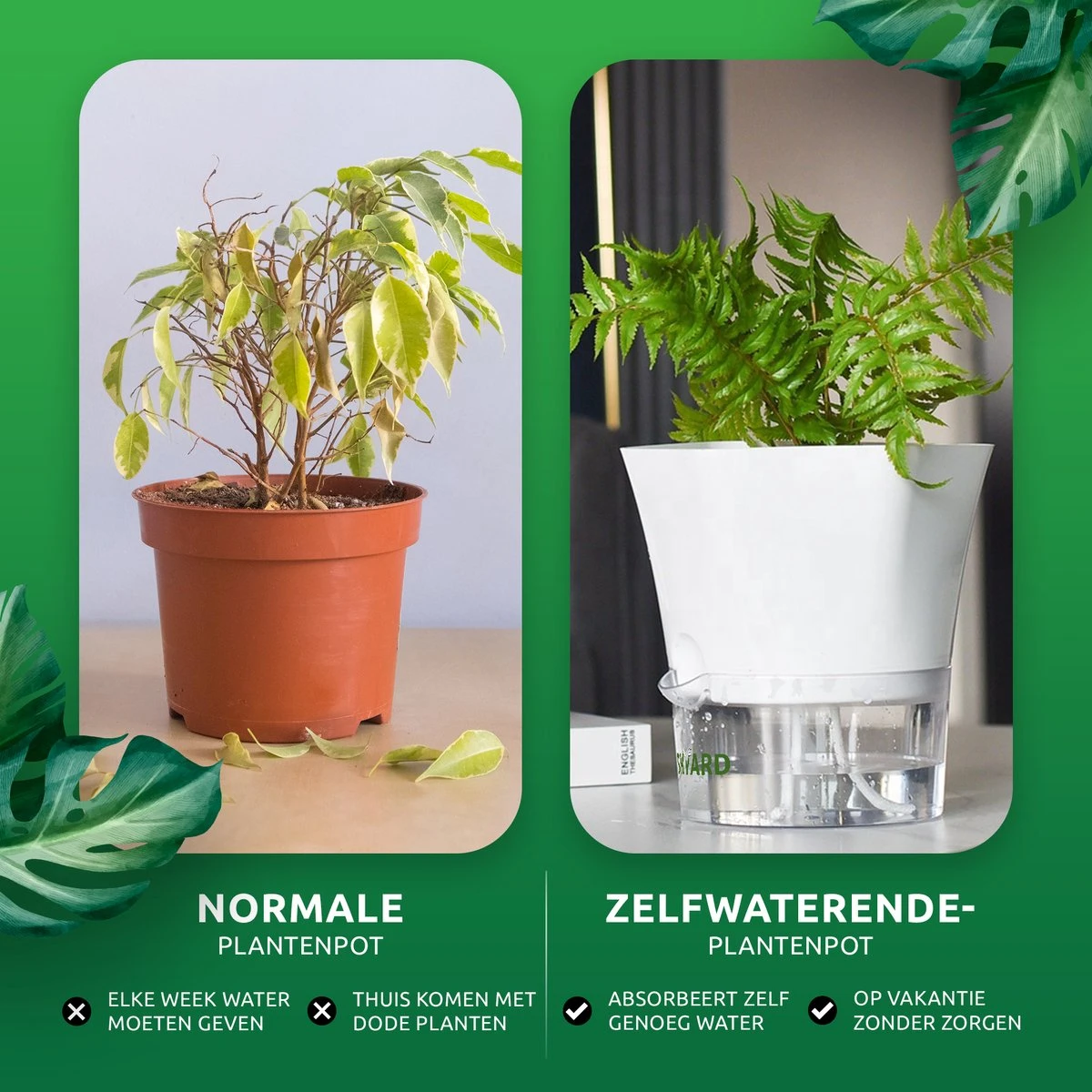 SKYARD® 3 Stuks Zelfwaterende Bloempot Maat M – Milieuvriendelijk Watergeefsysteem Kamerplanten – Zelfwatergevende Pot – Bloempot Met Waterreservoir – Selfwatering Pot – Wit 6 SKYARD® 3 Stuks Zelfwaterende Bloempot Maat M – Milieuvriendelijk Watergeefsysteem Kamerplanten – Zelfwatergevende Pot – Bloempot Met Waterreservoir – Selfwatering Pot – Wit - Afbeelding 4
