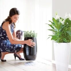 Elho Floorprotector Rond 25 - Accessoires Voor Binnen - Ø 25.0 X H 1.5 Cm - Transparant/Transparant 10 Elho Floorprotector Rond 25 - Accessoires Voor Binnen - Ø 25.0 X H 1.5 Cm - Transparant/Transparant -Tuinen Speciaal Winkel 1200x1200 779