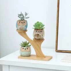Luxe Bamboe Houten Boom Met 3 Keramiek Uil Bloempotten/Plantenpotten Op Standaard/Voet Voor Binnen En Buiten - Modern Design Bloempot/Plantenpot Op Poten/Pootjes-Plantenbak Mini Cactus Nep Plant Pot Houder - Kleine Bloembakken Plantenrek/Plantenkurk -Tuinen Speciaal Winkel 1200x1200 785