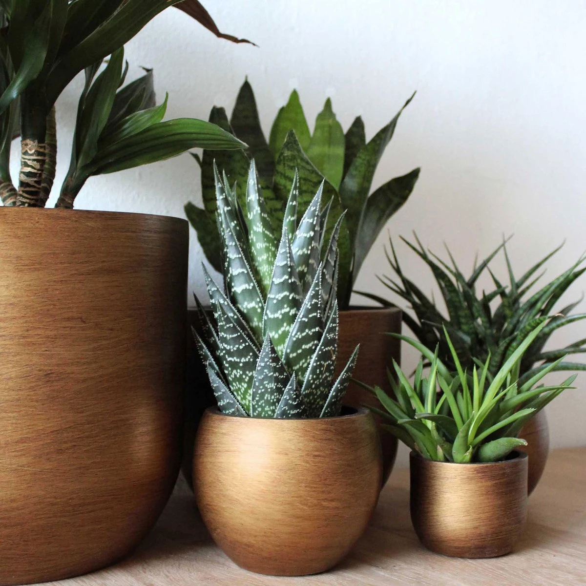 Capi Europe - Vaas Bol Retro - 30x25 - Goud - Bloempot Voor Binnen - BRTG104 7 Capi Europe - Vaas Bol Retro - 30x25 - Goud - Bloempot Voor Binnen - BRTG104 - Afbeelding 5