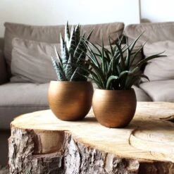 Capi Europe - Vaas Bol Retro - 30x25 - Goud - Bloempot Voor Binnen - BRTG104 17 Capi Europe - Vaas Bol Retro - 30x25 - Goud - Bloempot Voor Binnen - BRTG104 -Tuinen Speciaal Winkel 1200x1200 801