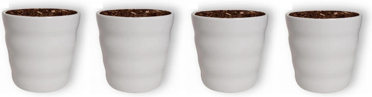 WL Plants - Bloempot Binnen - Set Van 4 - Dawn Ø12 Wit - Luxe Bloempotten Voor Binnen - Bloempotten Voor Buiten - Bloembak & Plantenpot - Hoogte 12,5 Cm - Keramisch Met Hoogwaardige Afwerking 3 WL Plants - Bloempot Binnen - Set Van 4 - Dawn Ø12 Wit - Luxe Bloempotten Voor Binnen - Bloempotten Voor Buiten - Bloembak & Plantenpot - Hoogte 12,5 Cm - Keramisch Met Hoogwaardige Afwerking