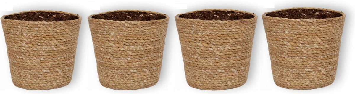 WL Plants - Maki Naturel - Set Van 4 - Plantenmand - Plantenmand Binnen - Bloempot - Plantenhouder - Bloempotten Voor Binnen - Gemaakt Van Riet - 11cm Hoog - 12cm Diameter 3 WL Plants - Maki Naturel - Set Van 4 - Plantenmand - Plantenmand Binnen - Bloempot - Plantenhouder - Bloempotten Voor Binnen - Gemaakt Van Riet - 11cm Hoog - 12cm Diameter