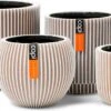 Capi Europe - Set Van 4 - Bloempot Binnen - Groove - - Ivoor - Bloempot Voor Binnen - BOX-BGVI-4 -Tuinen Speciaal Winkel 1200x632