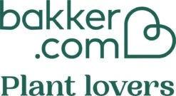 Pokon Bladglans 250ml -Tuinen Speciaal Winkel 1200x657 4