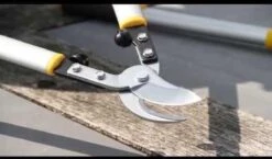 Hendrik Jan - Takkenschaar - Aluminium - Aambeeld - 62 Cm -Tuinen Speciaal Winkel 1200x704 1