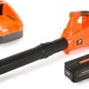 TIMBERPRO - Bladblazer Elektrisch 40V, ZEER Krachtig (incl. 4A Batterij En Incl. Lader)