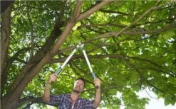 Gardena EasyCut Takkenschaar 68B + Classic Snoeischaar 8754 Display 1stuk 12003-30 -Tuinen Speciaal Winkel 1200x749 8