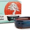 Happy Seed Keramieken Bonsai Pot (schaal) - Marine Blauw - Geglazuurd -Tuinen Speciaal Winkel 1200x779 1