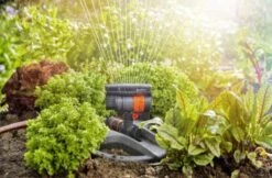 GARDENA - Zwenksproeier AquaZoom Compact - Tuinsproeier - 9 Tot 216 M² 23 GARDENA - Zwenksproeier AquaZoom Compact - Tuinsproeier - 9 Tot 216 M² -Tuinen Speciaal Winkel 1200x785