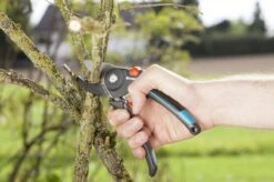 GARDENA - Comfort A/M Aambeeld - Snoeischaar - Ø 23mm 12 GARDENA - Comfort A/M Aambeeld - Snoeischaar - Ø 23mm -Tuinen Speciaal Winkel 1200x799 145