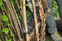 GARDENA - SlimCut Takkenschaar -28mm- Met Hefboommechanisme -Tuinen Speciaal Winkel 1200x799 159