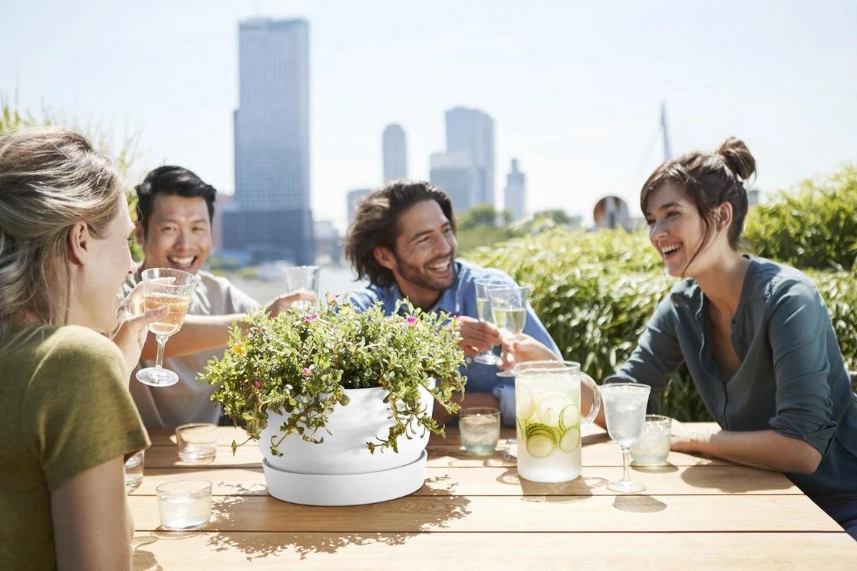 Elho Greenville Schaal 33 - Bloempot Voor Buiten - Ø 32.5 X H 19.4 Cm - Groen/Blad Groen 7 Elho Greenville Schaal 33 - Bloempot Voor Buiten - Ø 32.5 X H 19.4 Cm - Groen/Blad Groen - Afbeelding 5