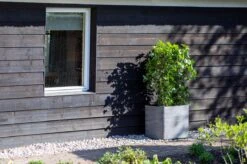 Capi Europe - Bloempot Vierkant Rib NL - 30x30x30 - Zwart - Voor Binnen En Buiten - KBLR902 -Tuinen Speciaal Winkel 1200x799 50