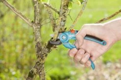 GARDENA Classic Aambeeld Snoeischaar - Ø 18 Mm -Tuinen Speciaal Winkel 1200x799 59