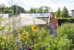 GARDENA - Comfort Broeskop - 5 Straalsoorten - Grijs -Tuinen Speciaal Winkel 1200x800 100