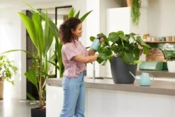 Elho Brussels Gieter 1,8l - Gieter Voor Binnenkweken En Oogsten - Ø 33.0 X H 17.0 Cm - Groen/Mint -Tuinen Speciaal Winkel 1200x800 109