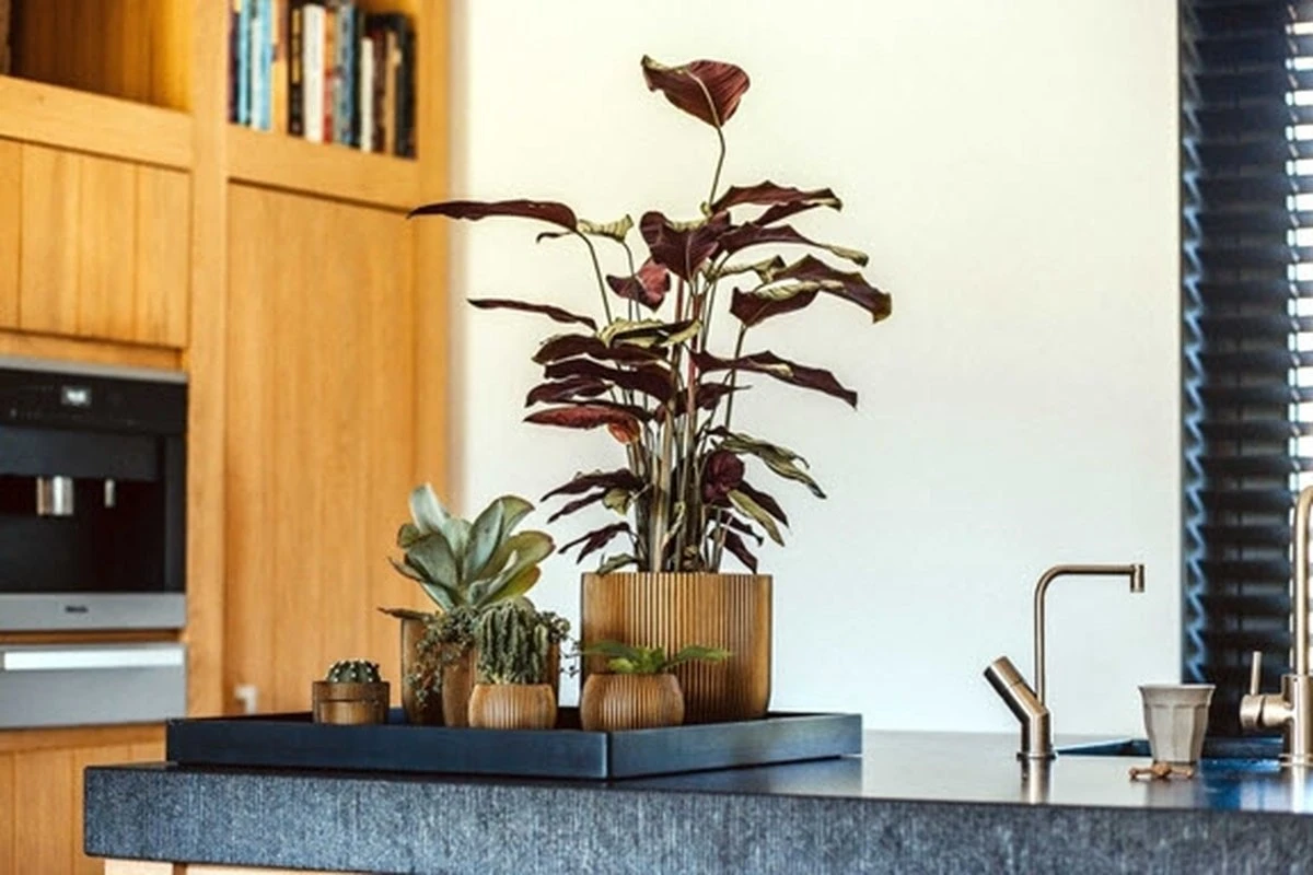 Capi Europe - Bloempot Bol Groove - 23x21 - Goud - Bloempot Voor Binnen - BGVGB134 5 Capi Europe - Bloempot Bol Groove - 23x21 - Goud - Bloempot Voor Binnen - BGVGB134 - Afbeelding 3