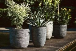 Capi Europe - Bloempot Bol Rib NL - 35x34 - Antraciet - Voor Binnen En Buiten - KOFZ932 -Tuinen Speciaal Winkel 1200x800 122