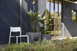 Capi Europe - Bloempot Vierkant Smooth NL - 50x50x50 - Zwart - Voor Binnen En Buiten - KBL904 -Tuinen Speciaal Winkel 1200x800 127