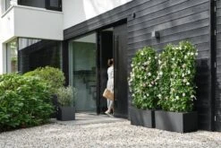 Elho Vivo Next Vierkant 30 - Plantenbak Voor Binnen & Buiten - Ø 29.5 X H 29.5 Cm - Zwart/Living Black -Tuinen Speciaal Winkel 1200x800 156