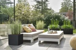 Elho Vivo Next Vierkant 40 - Plantenbak Voor Binnen & Buiten - Ø 39.0 X H 37.9 Cm - Zwart/Living Black -Tuinen Speciaal Winkel 1200x800 159