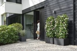 Elho Vivo Next Vierkant 40 - Plantenbak Voor Binnen & Buiten - Ø 39.0 X H 37.9 Cm - Zwart/Living Black -Tuinen Speciaal Winkel 1200x800 160