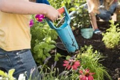 GARDENA Bollenplanter - Diepteaanduiding - Automatische Aardeloslating -Tuinen Speciaal Winkel 1200x800 175