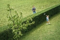 Bosch AHS 50-20 Accu Heggenschaar - Met 1 X 18 V Accu En Lader -Tuinen Speciaal Winkel 1200x800 179