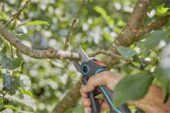 GARDENA AssistCut Snoeischaar- Ø 25mm 24 GARDENA AssistCut Snoeischaar- Ø 25mm -Tuinen Speciaal Winkel 1200x800 190