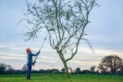 Bosch UniversalHedgePole 18 Heggenschaar Op Steel - Met 18 V Accu En Lader -Tuinen Speciaal Winkel 1200x800 197