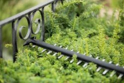 Bosch UniversalHedgeCut 18-55 Heggenschaar - Zonder 18V Accu En Oplader -Tuinen Speciaal Winkel 1200x800 210