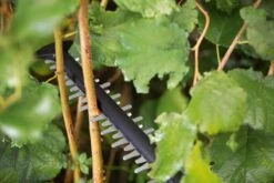 Bosch UniversalHedgeCut 18-55 Heggenschaar - Zonder 18V Accu En Oplader -Tuinen Speciaal Winkel 1200x800 213