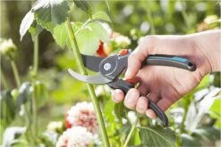 GARDENA Comfort B/M Bypass Snoeischaar - Ø 24mm - Met Sapgeul -Tuinen Speciaal Winkel 1200x800 234