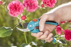 GARDENA - Classic B/S-M Bypass Snoeischaar - Ø 22mm - 25 Jaar Garantie -Tuinen Speciaal Winkel 1200x800 372