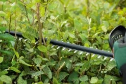 Bosch UniversalHedgeCut 18-50 Heggenschaar - Met 18 V Accu En Lader -Tuinen Speciaal Winkel 1200x800 381