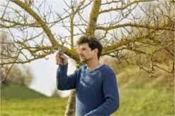 GARDENA - ExpertCut - Snoeischaar - 22 Diameter Tak 28 GARDENA - ExpertCut - Snoeischaar - 22 Diameter Tak -Tuinen Speciaal Winkel 1200x800 388