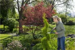 GARDENA PrecisionCut Buxusschaar - Meslengte 18 Cm - Vormsnoeien -Tuinen Speciaal Winkel 1200x800 391