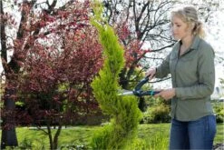 GARDENA PrecisionCut Buxusschaar - Meslengte 18 Cm - Vormsnoeien -Tuinen Speciaal Winkel 1200x800 392