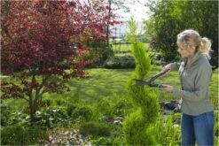 GARDENA PrecisionCut Buxusschaar - Meslengte 18 Cm - Vormsnoeien -Tuinen Speciaal Winkel 1200x800 395