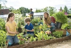 GARDENA Combisystem Bladharkje - Werkbreedte 12 Cm - 25 Jaar Garantie -Tuinen Speciaal Winkel 1200x800 465