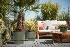 Elho Greenville Rond 30 - Grote Bloempot Voor Buiten - Gemaakt Van Gereycled Plastic - Ø 29.5 X H 27.8 Cm - Blad Groen 32 Elho Greenville Rond 30 - Grote Bloempot Voor Buiten - Gemaakt Van Gereycled Plastic - Ø 29.5 X H 27.8 Cm - Blad Groen -Tuinen Speciaal Winkel 1200x801 11